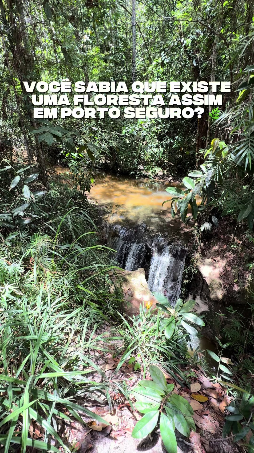 @Bora pra Porto Seguro