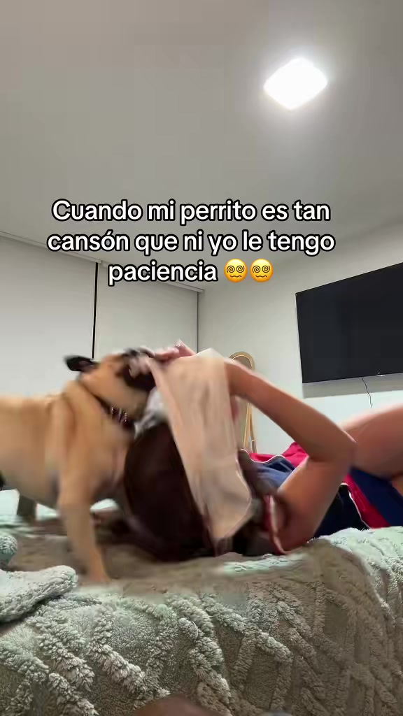@Alexa&elcarnalchiss