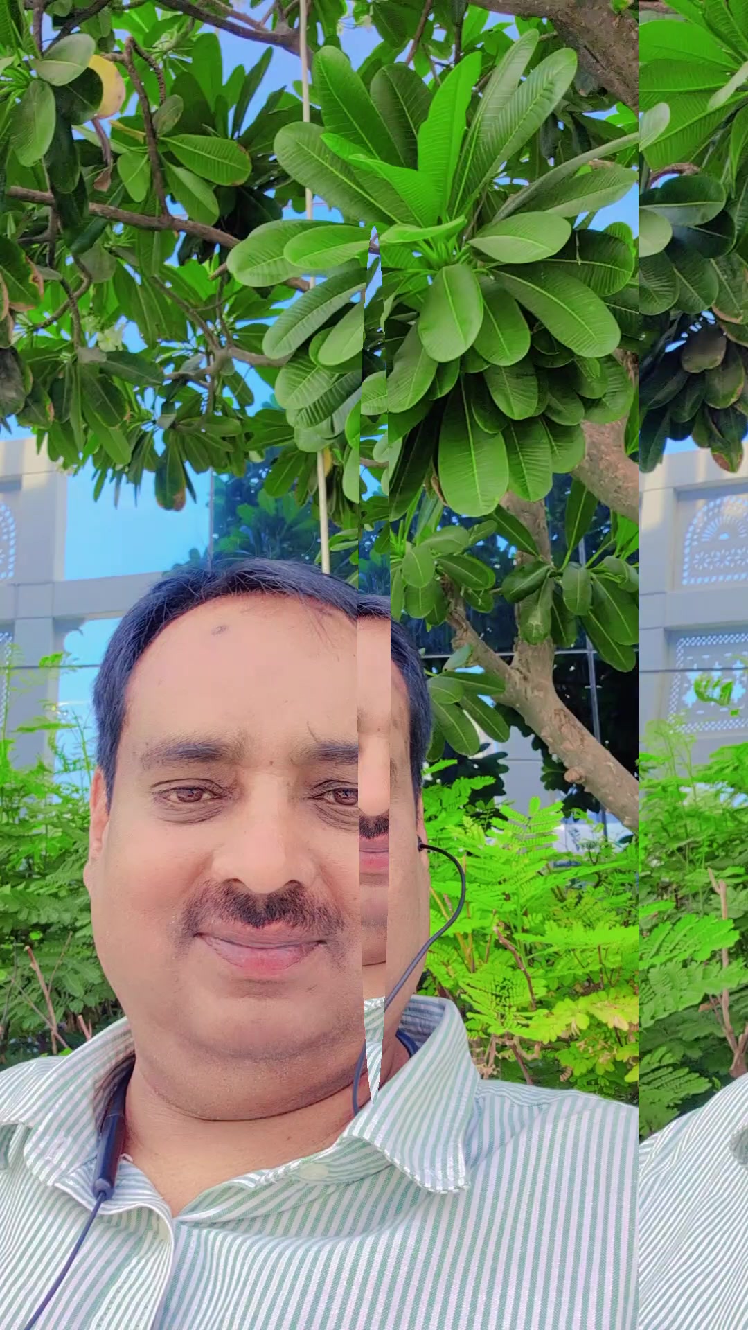 @M Hussain 786