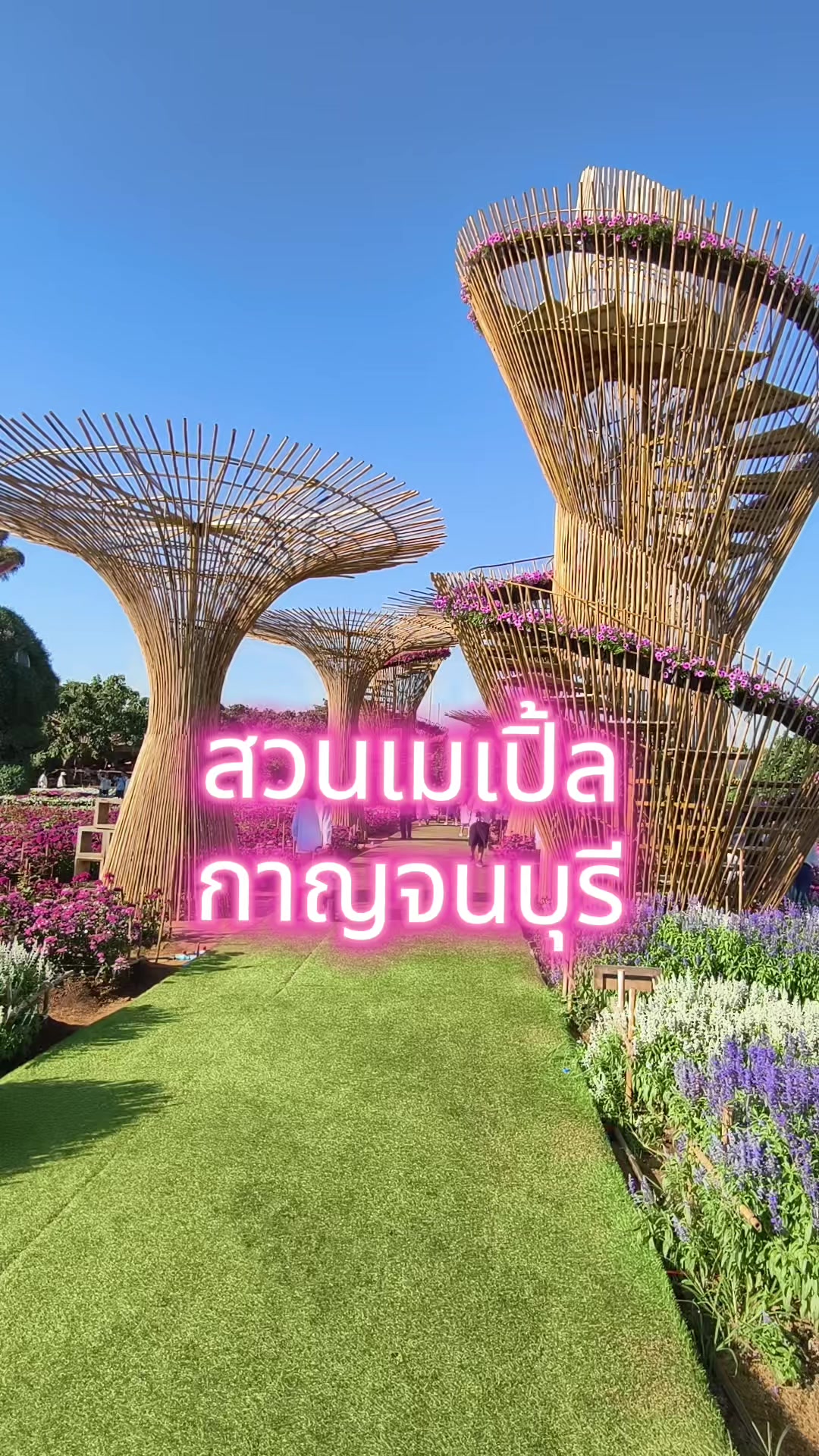 @ป้าสามาโม้