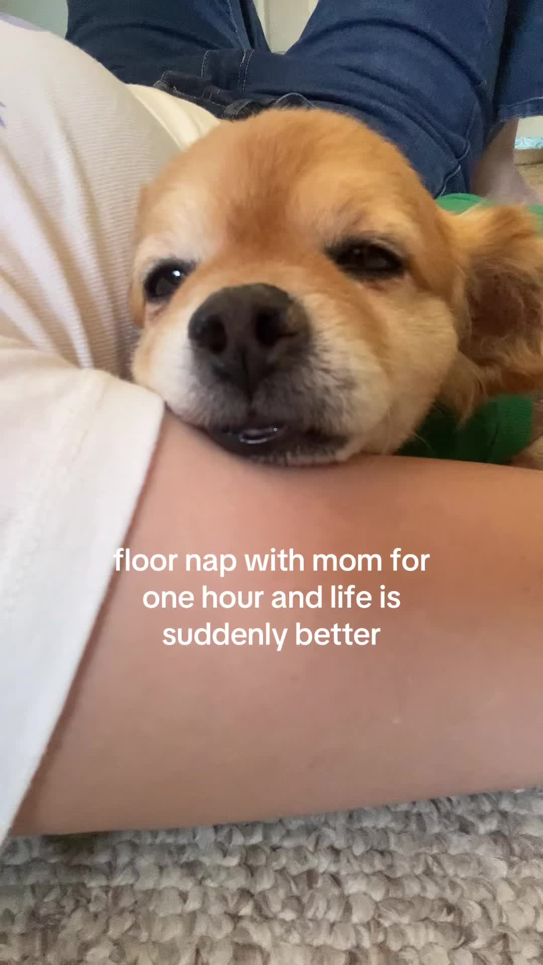 @kingpep