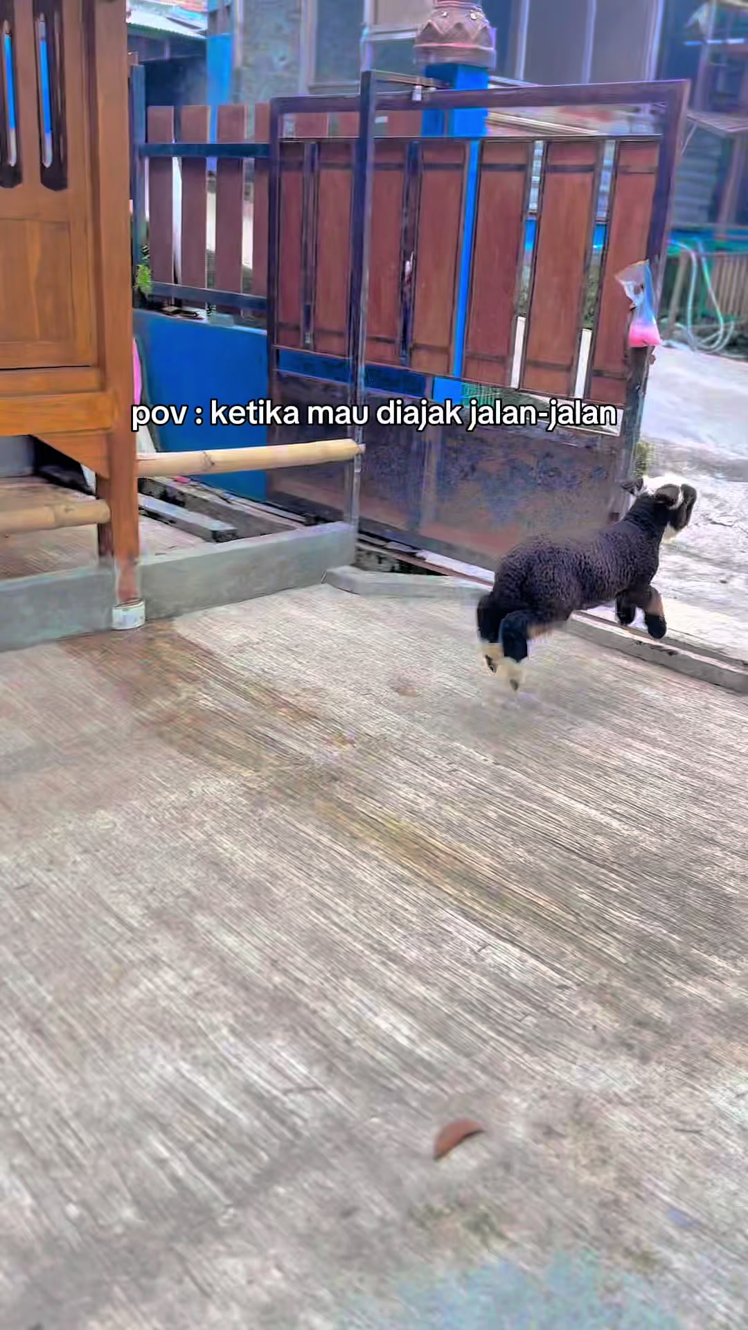 @ROZZ & MALIKA