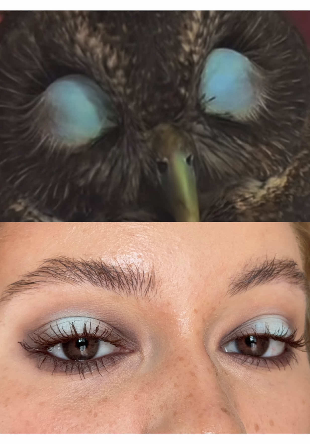 @Pollinasha