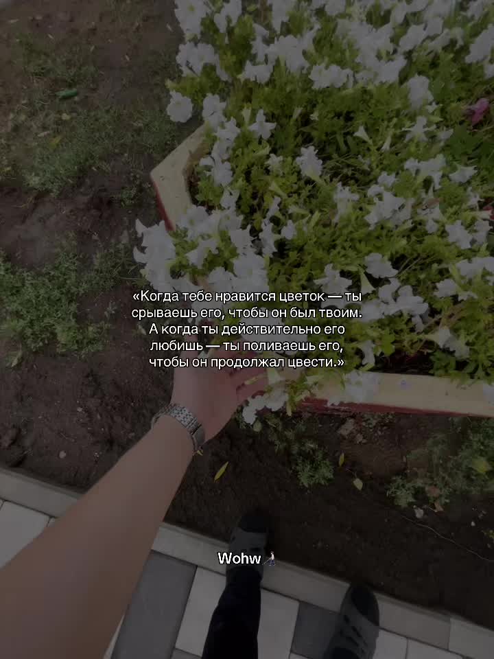 @Wohw๐ง๐ป๐ฆฏ