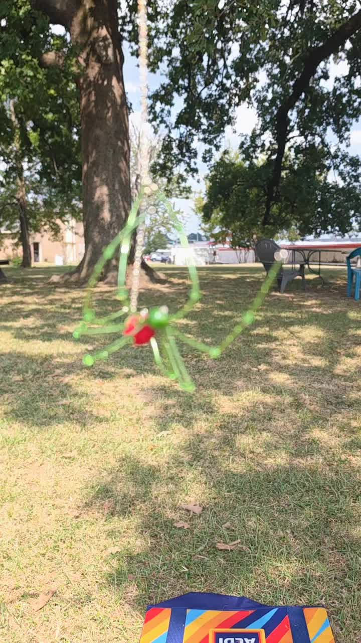 @The Spider Web