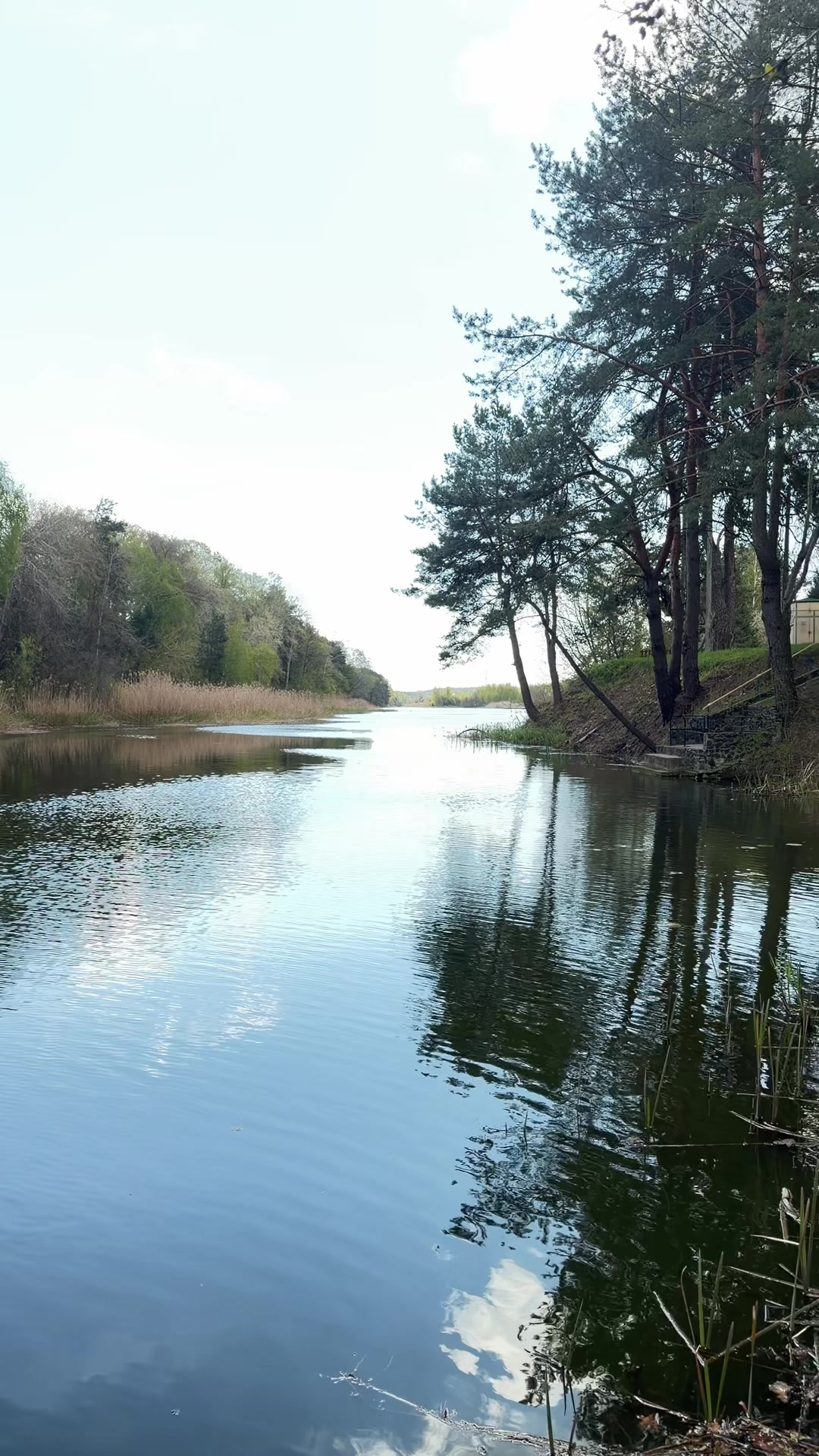 @ЛЕСЬКИ ДВІЖ