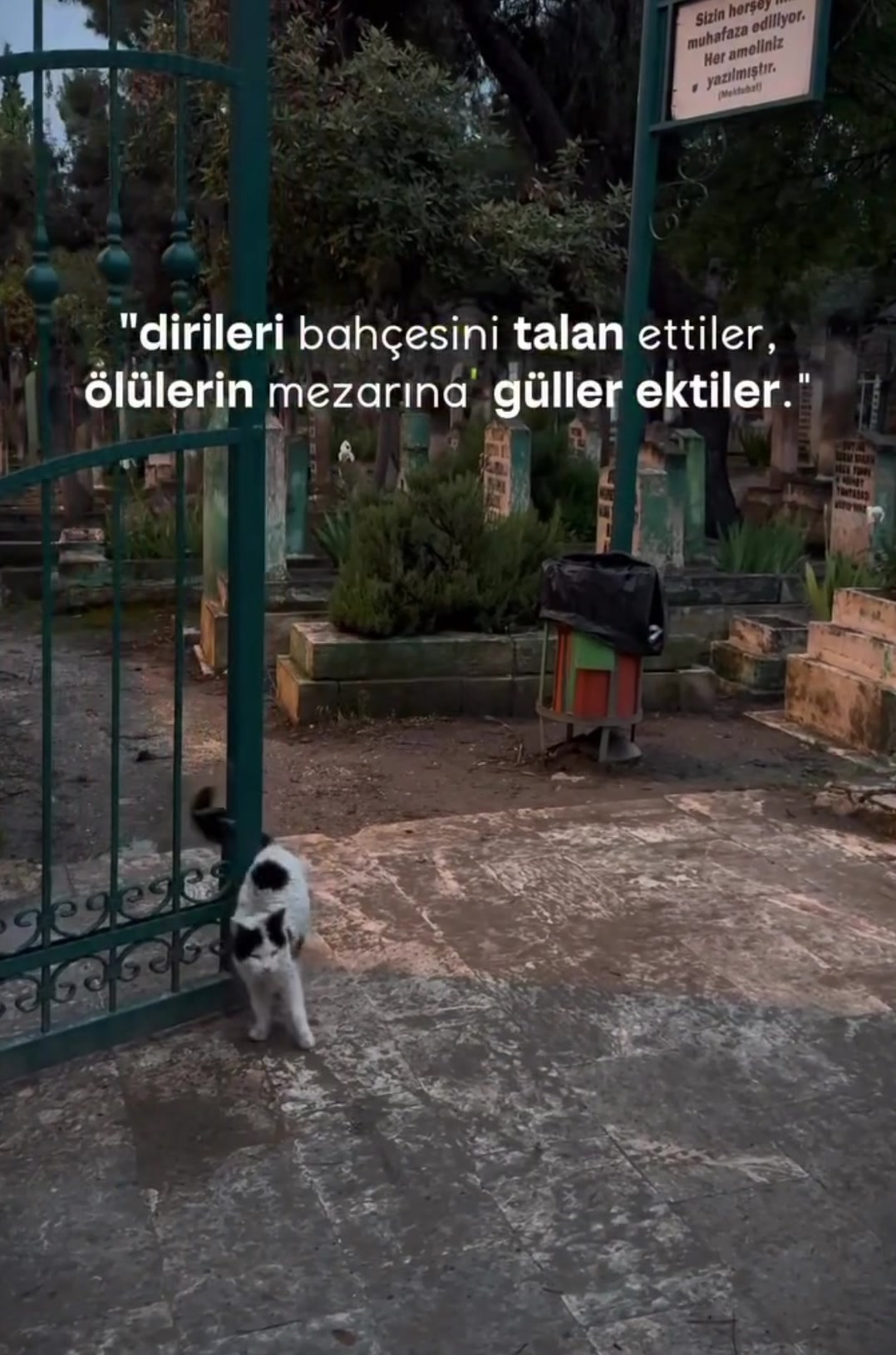 @🇹🇷ALFA🇹🇷