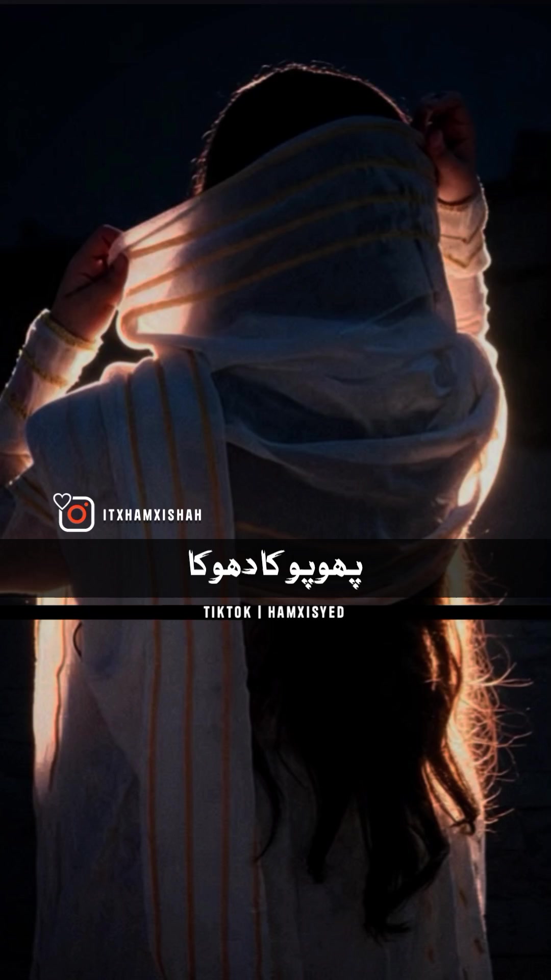 @hamxisyed