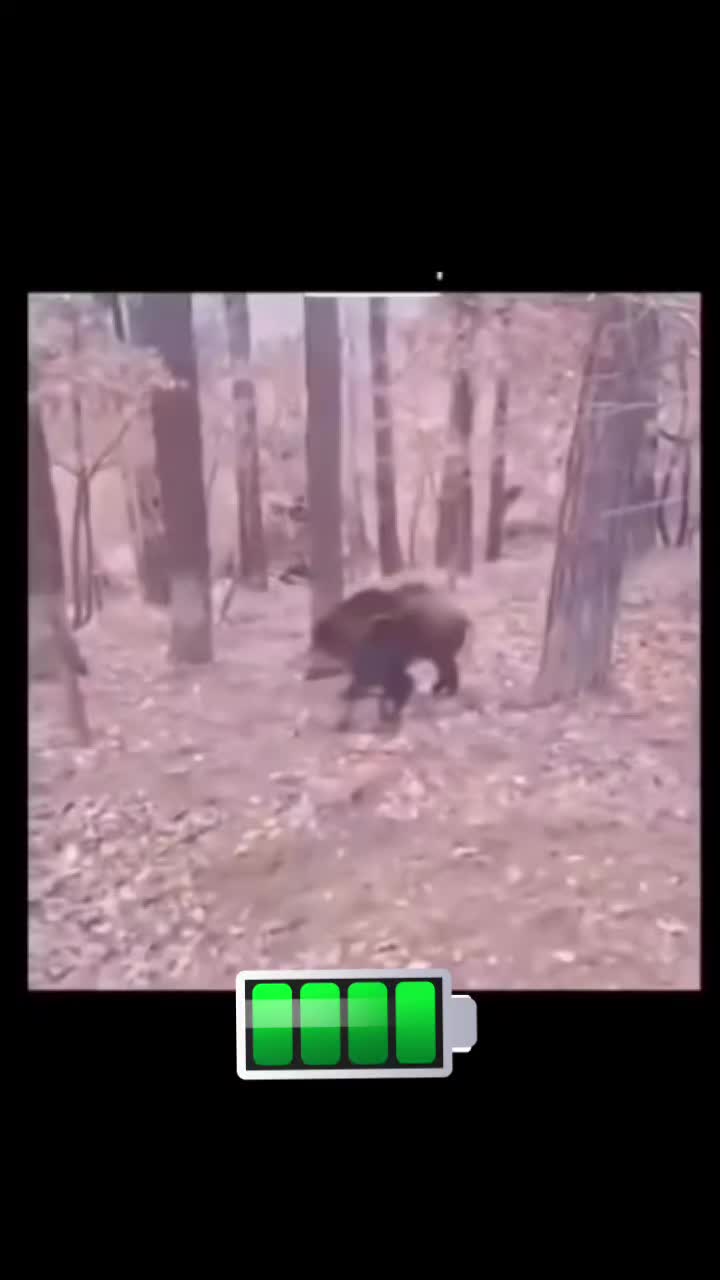 @Ahperzhan