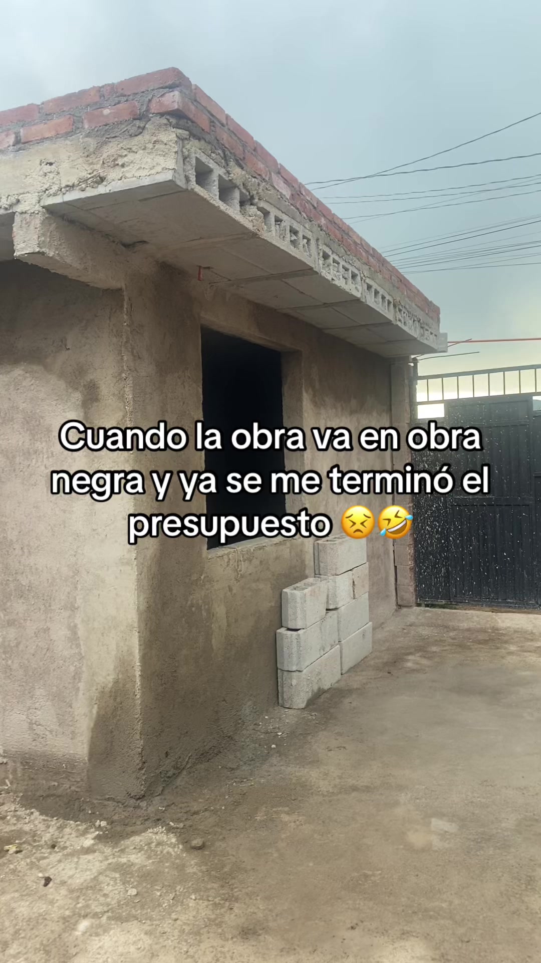 @chifuuu