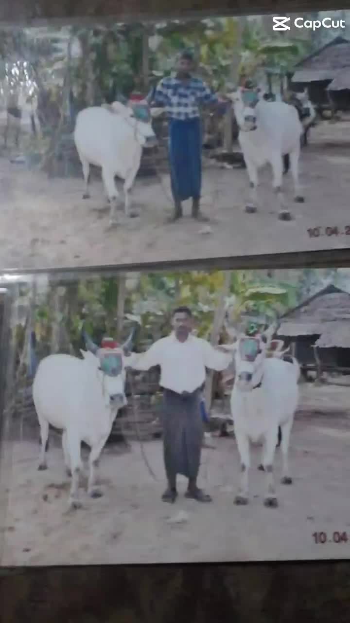 @Siva Kumar