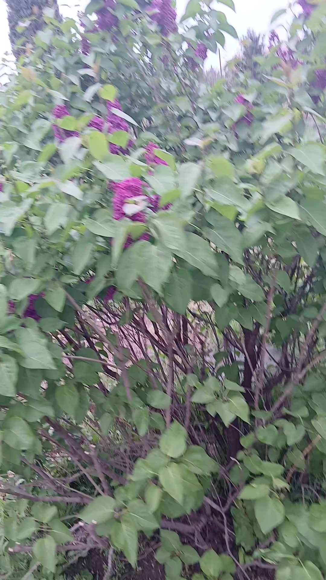 @en güzelgüllər