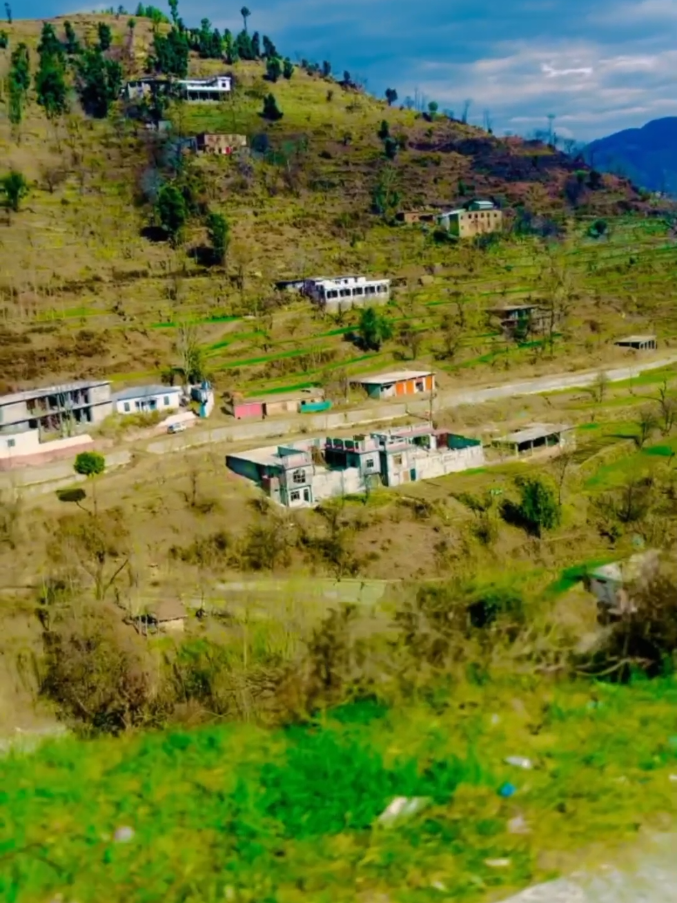 @🌲غر سنے 🌲