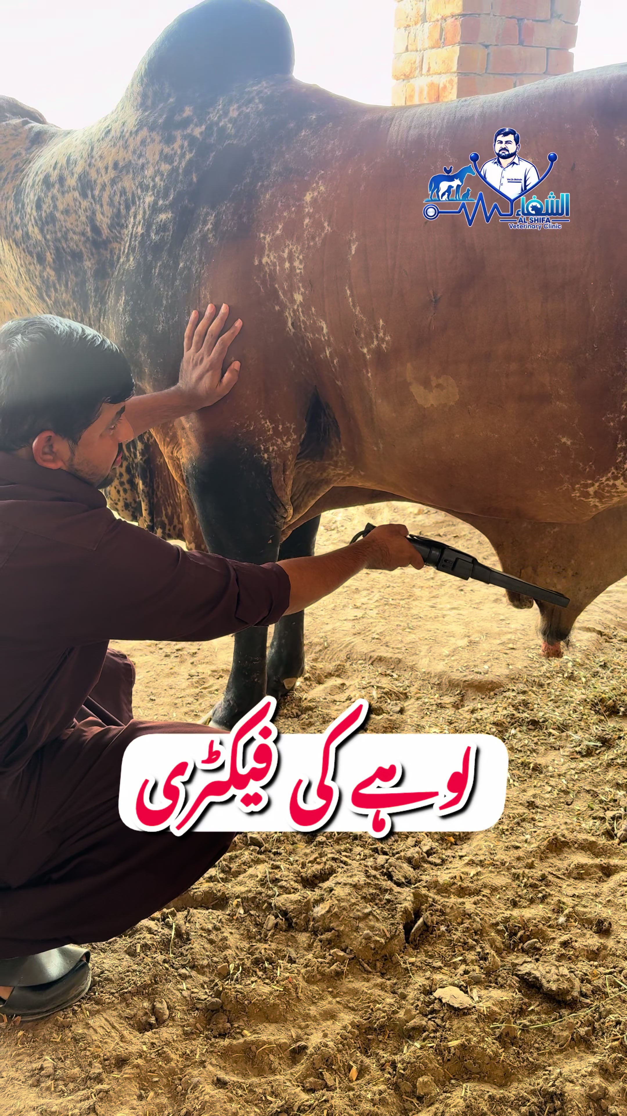 @Dr.Mohsin