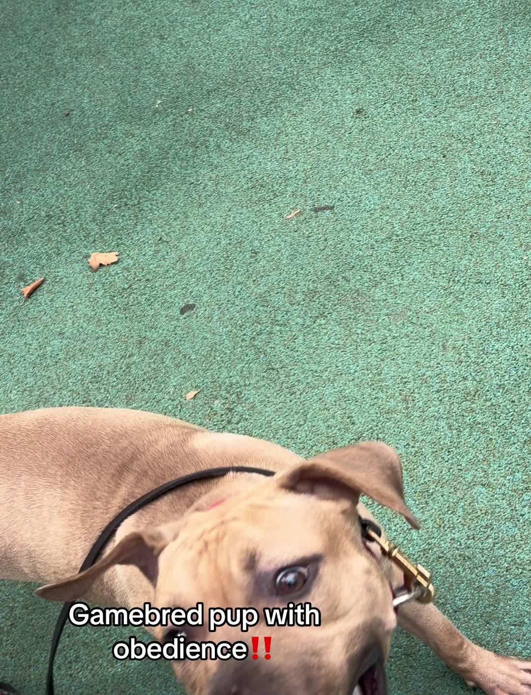 @🎭