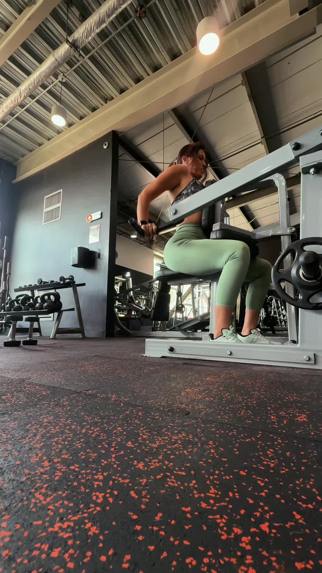 @fitrading1