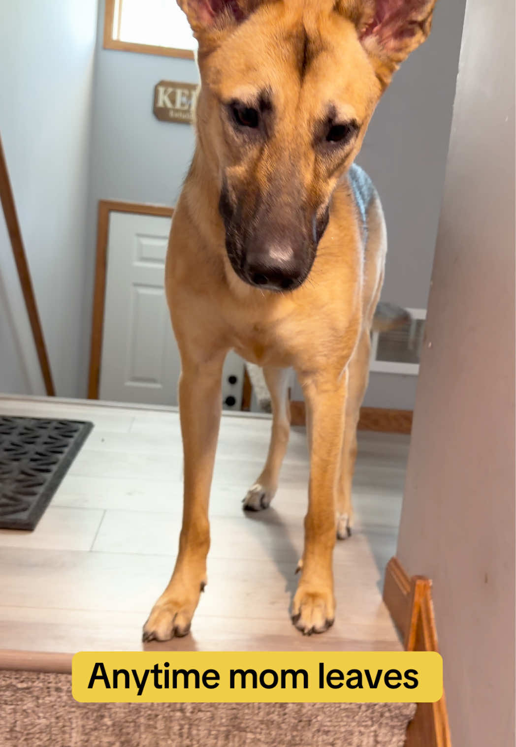 @Kiki.GSD