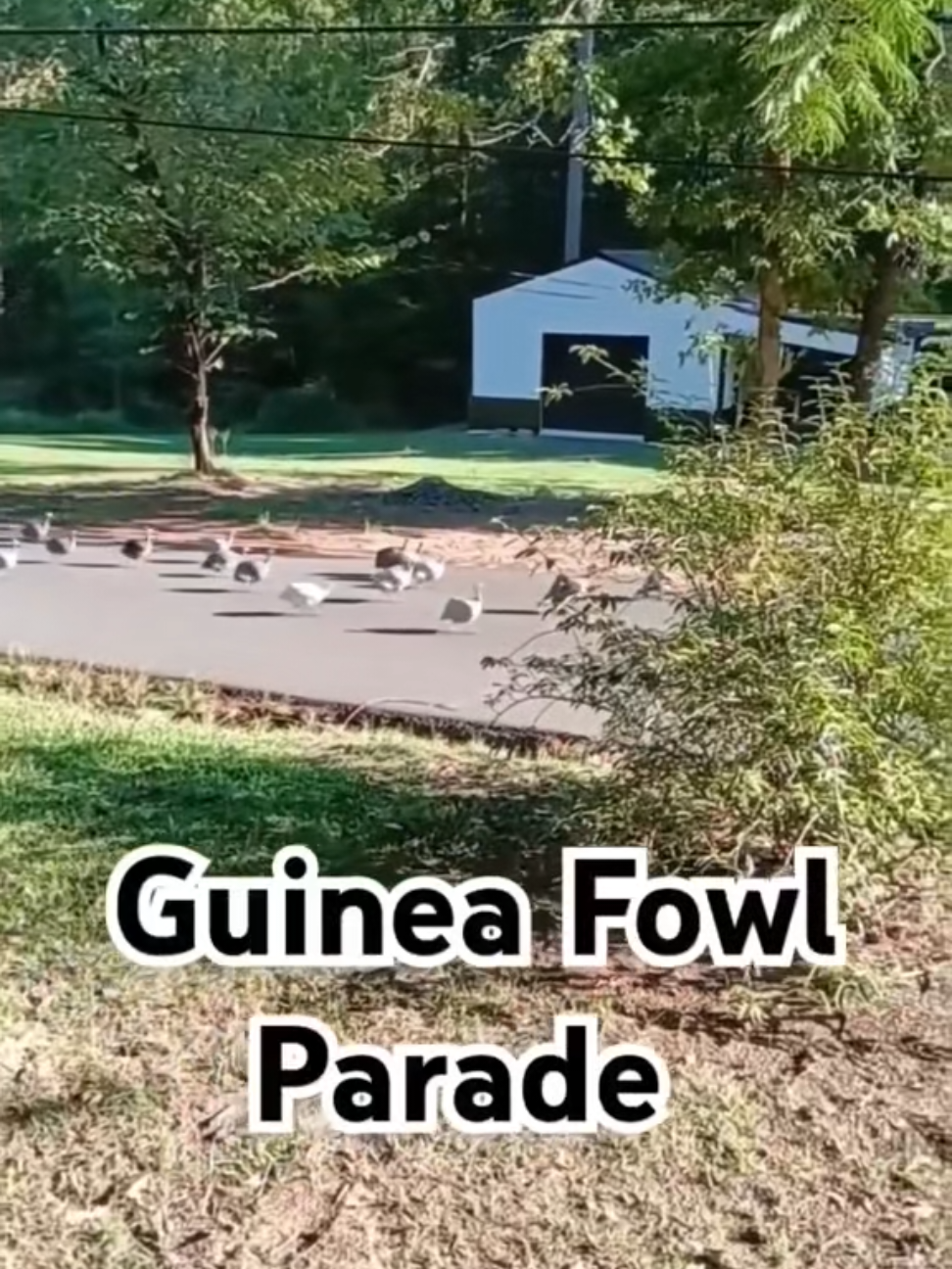 @Tony Alabama