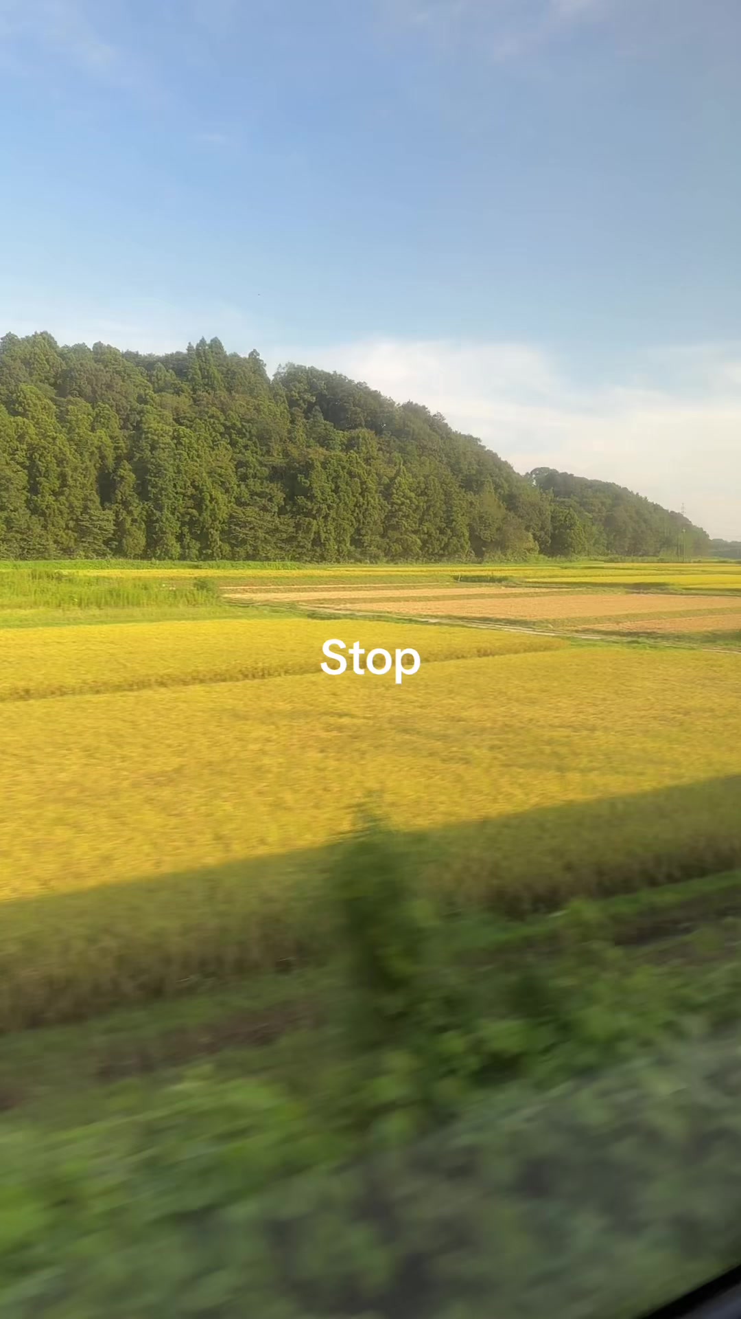 @HAPPI