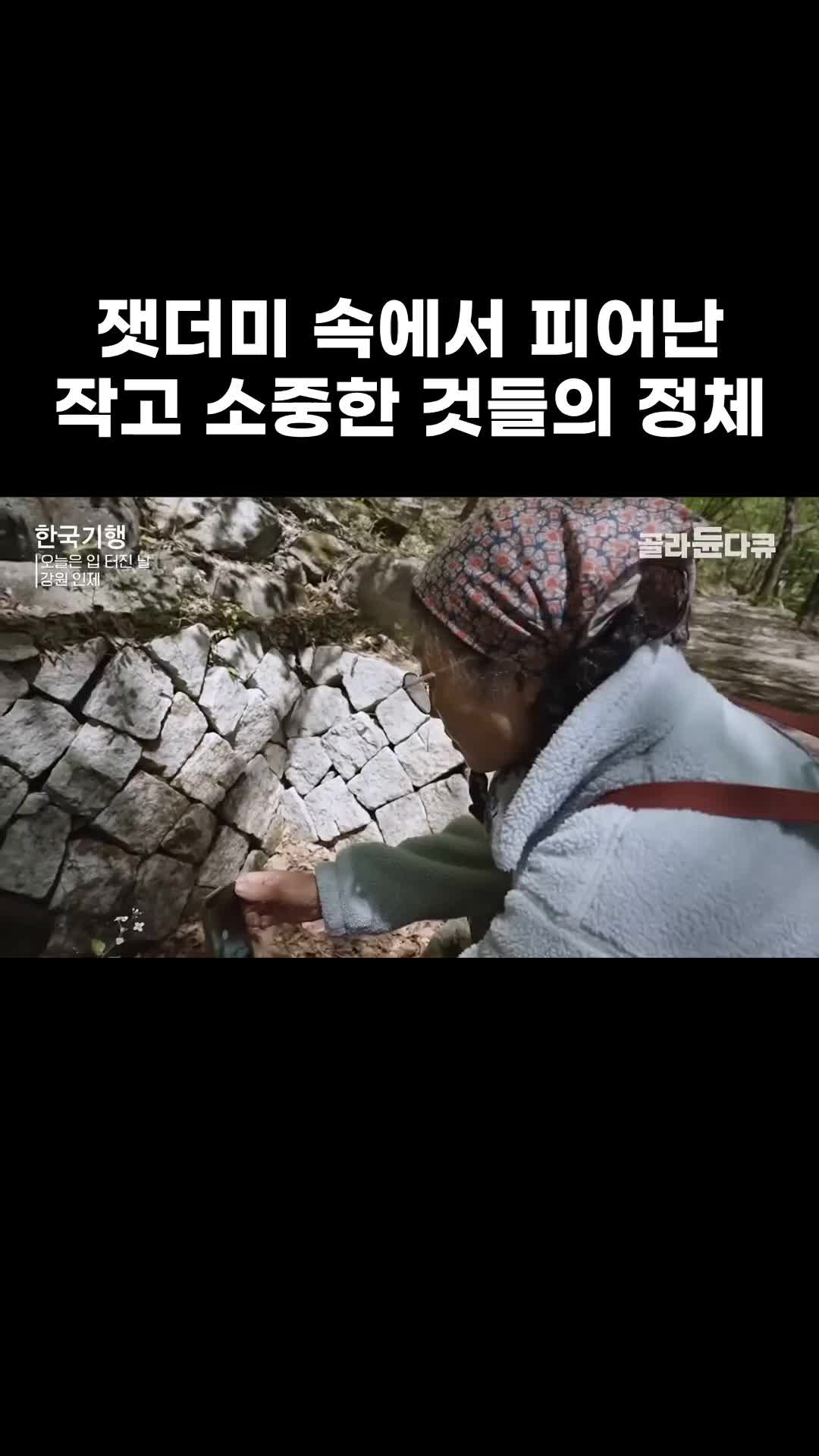 @EBS 다큐