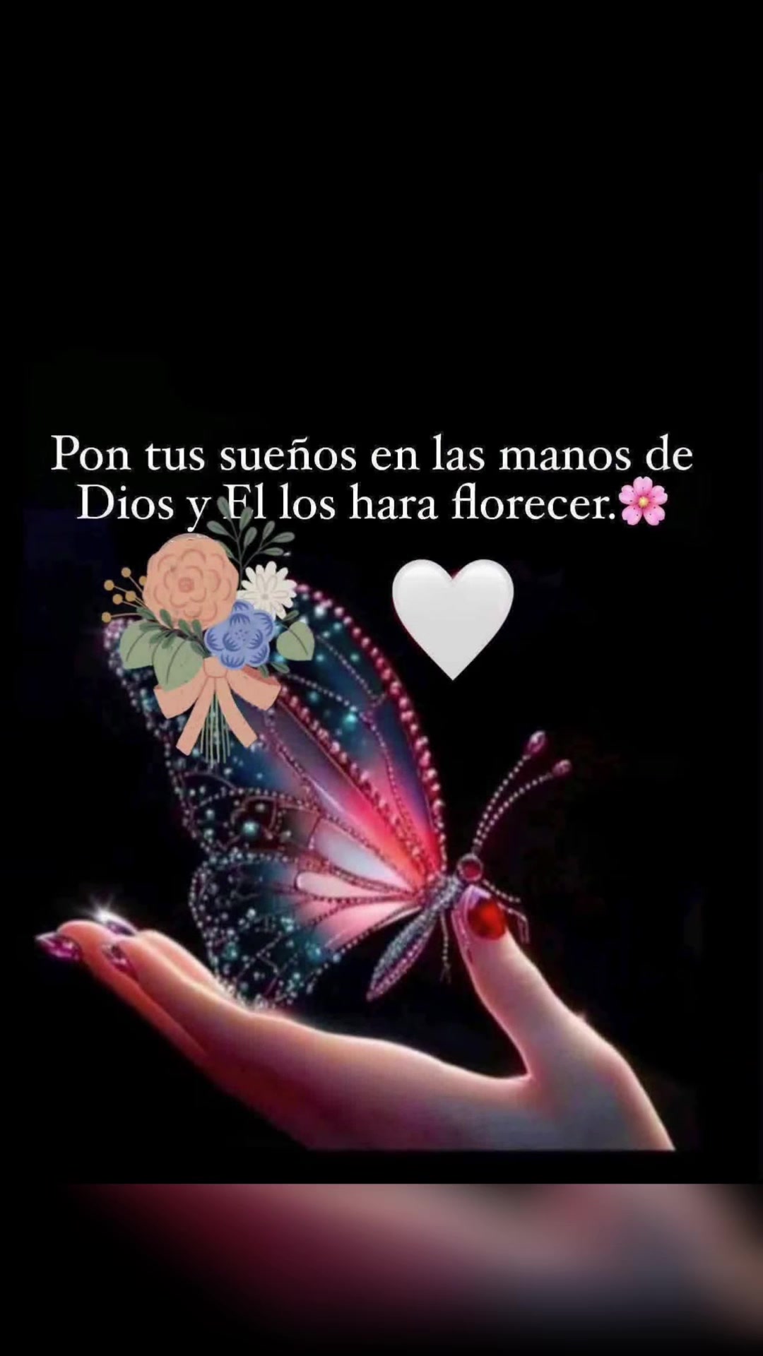 @elvirasvg