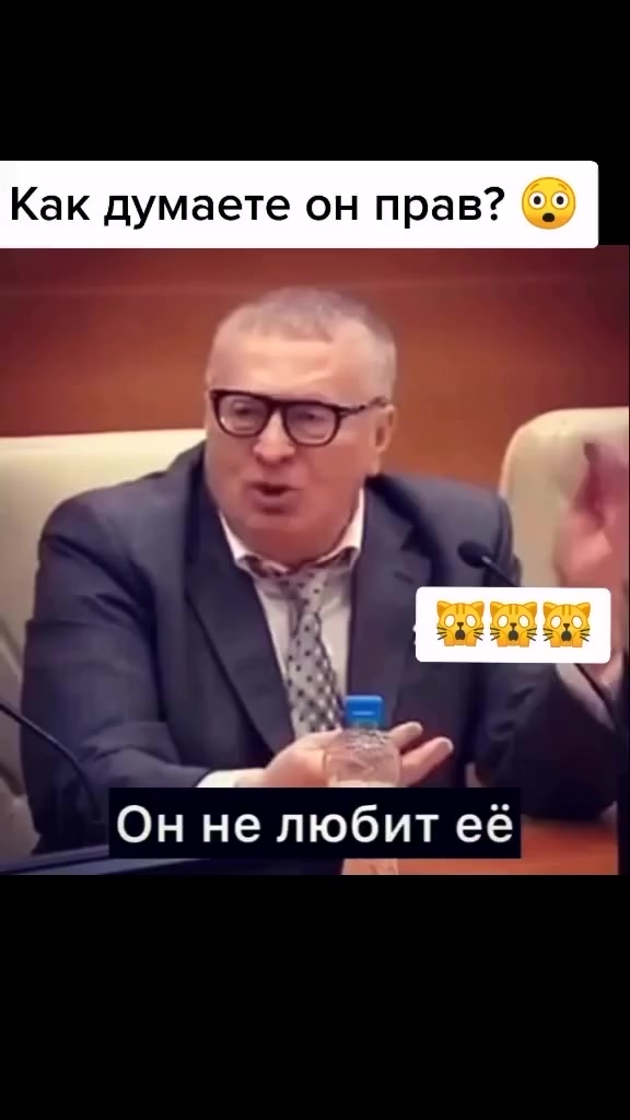 @"Шотландский Скоттиш Страйт"