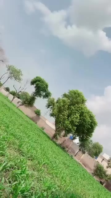 @Asim Khan kanpur 0786
