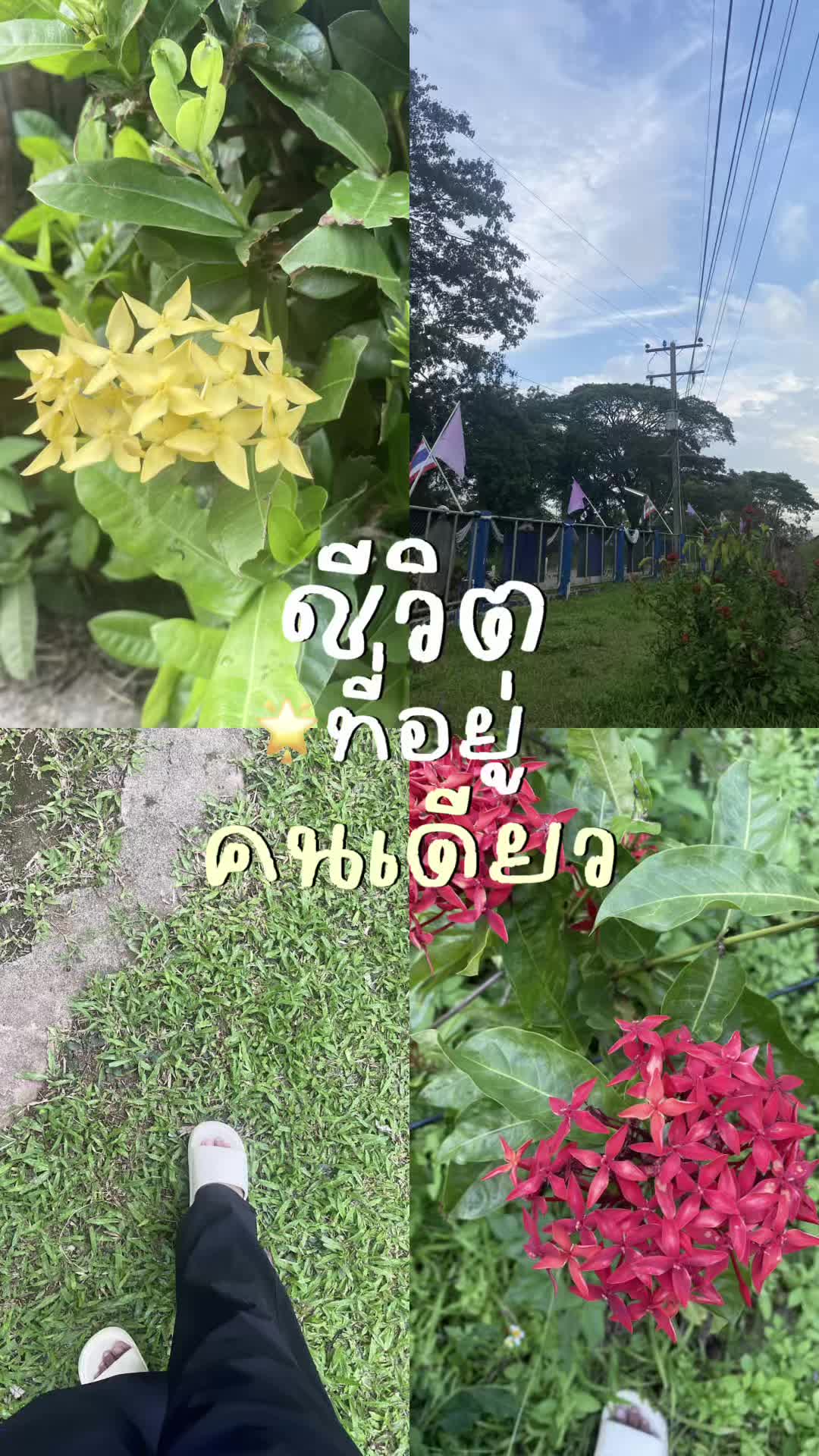 @2010💘