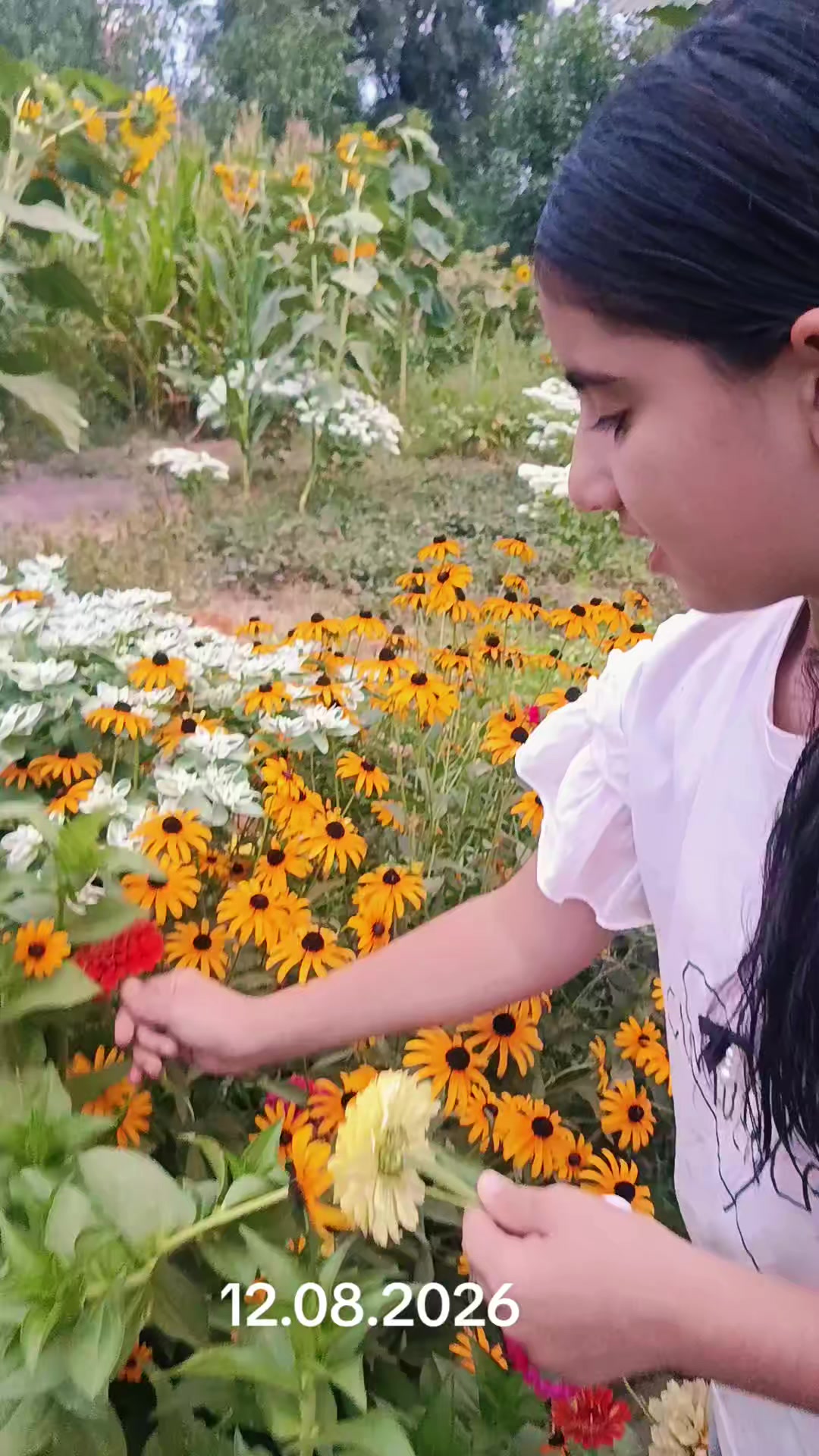 @zinaida0730