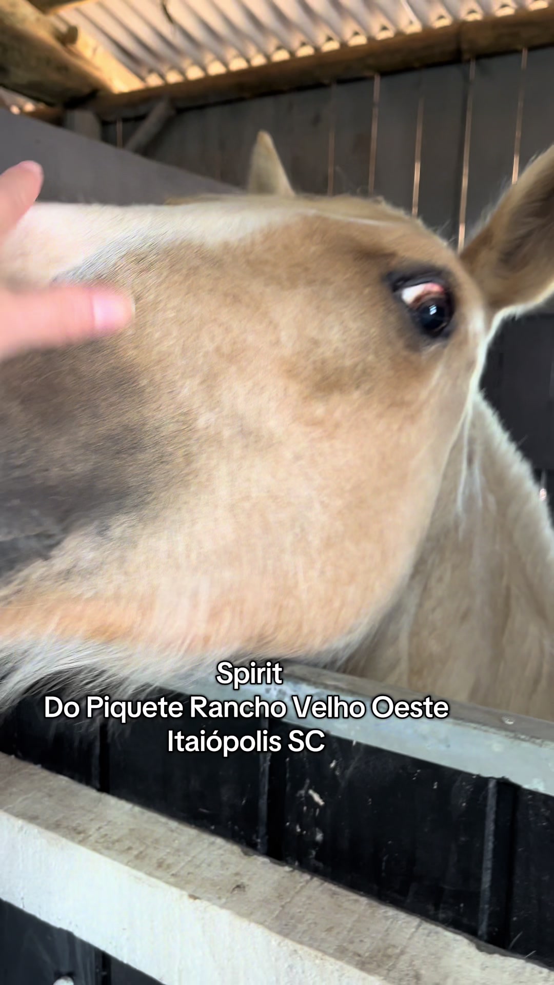@Fiama Fusqueira