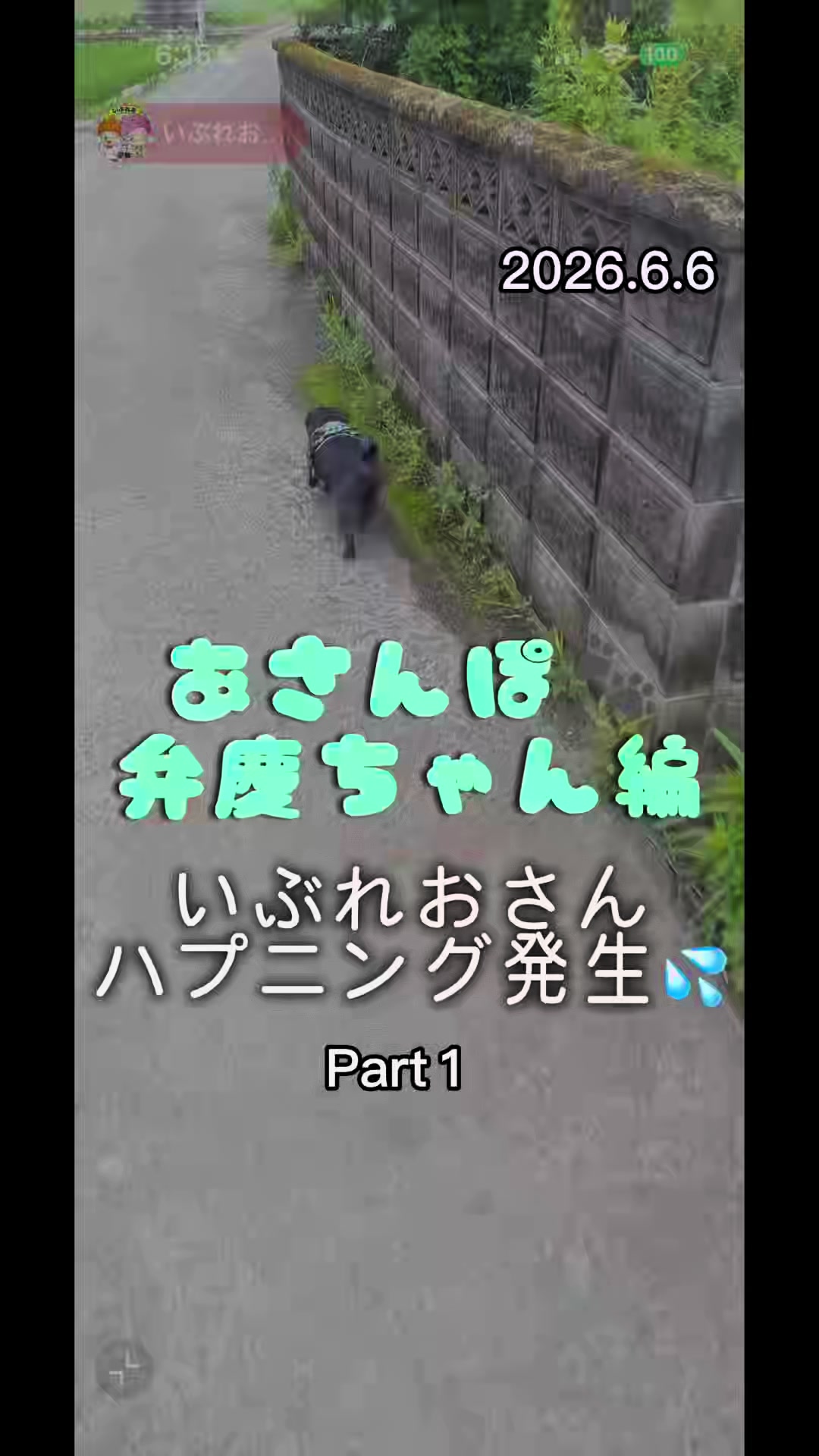 @すずか🧊🫧