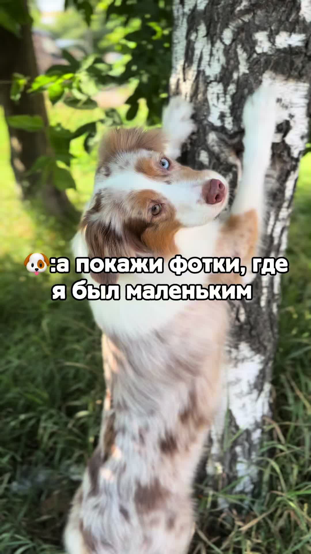 @𝚃𝚠𝚒𝚡