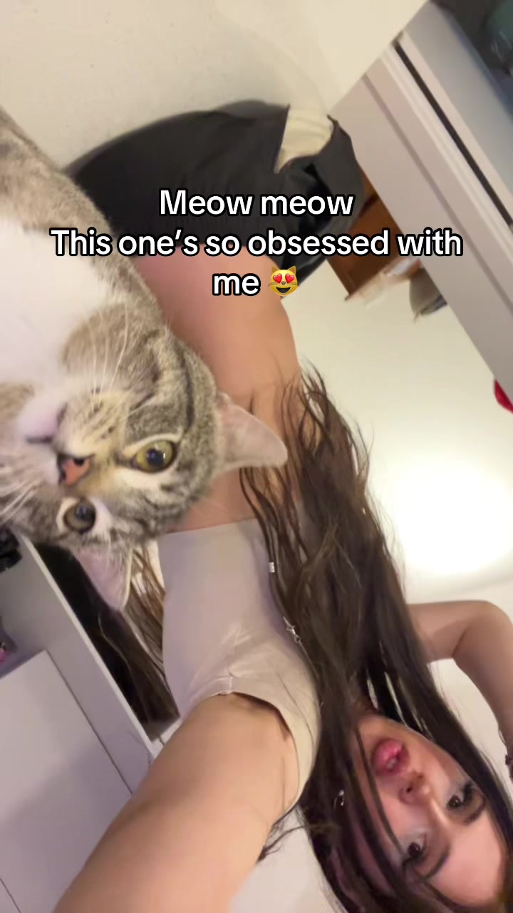 @Snowii
