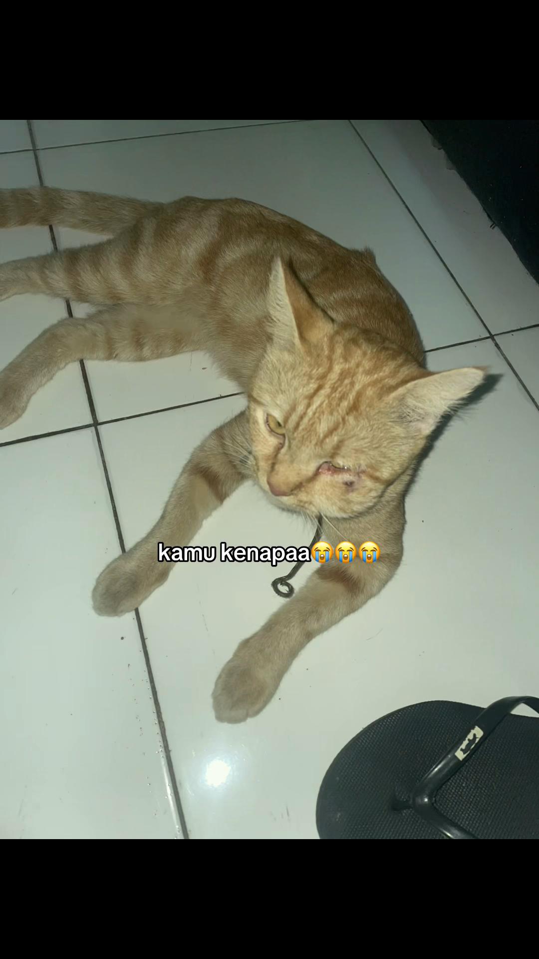 @insta: mutyadeef