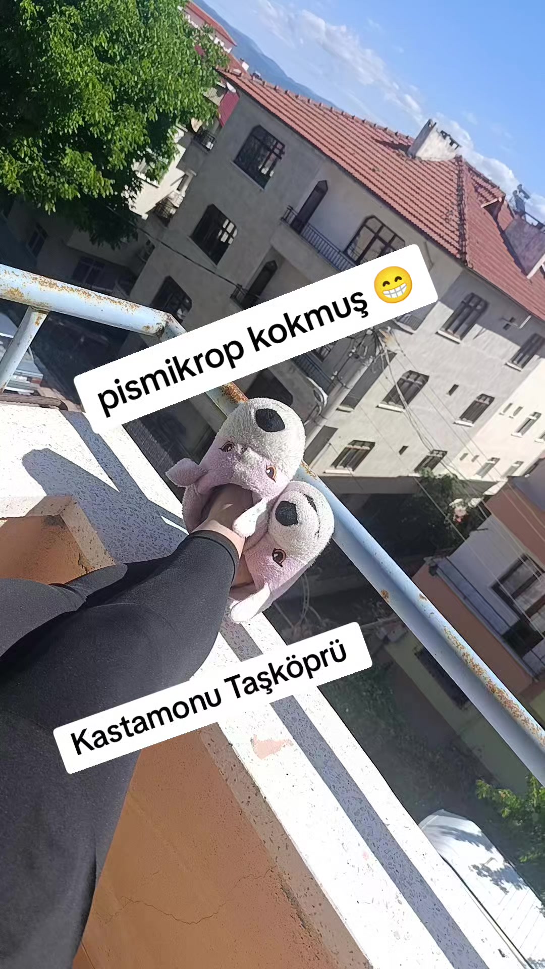 @papatya 🌼