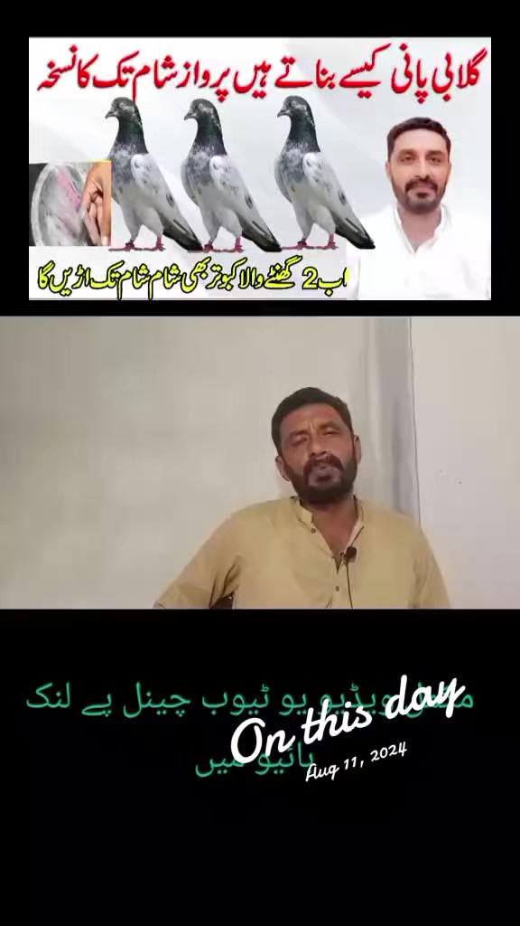 @KABOOTAR PARWAR VLOG