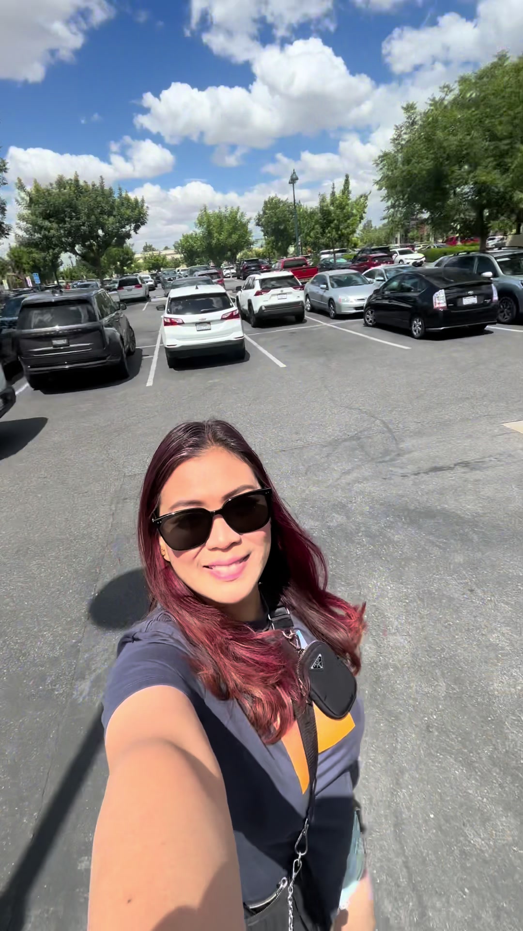 @carleetops