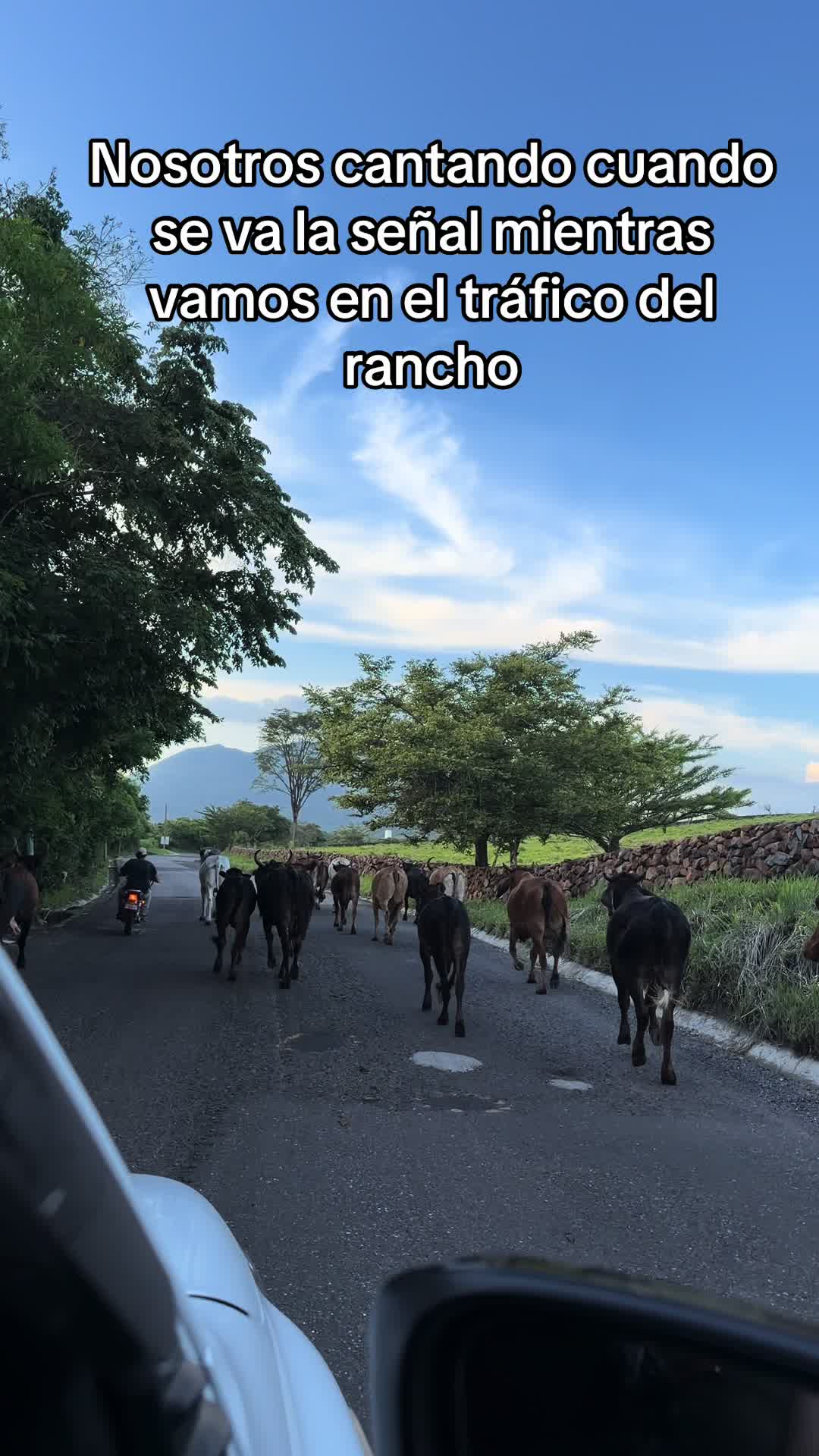 @myzargueta