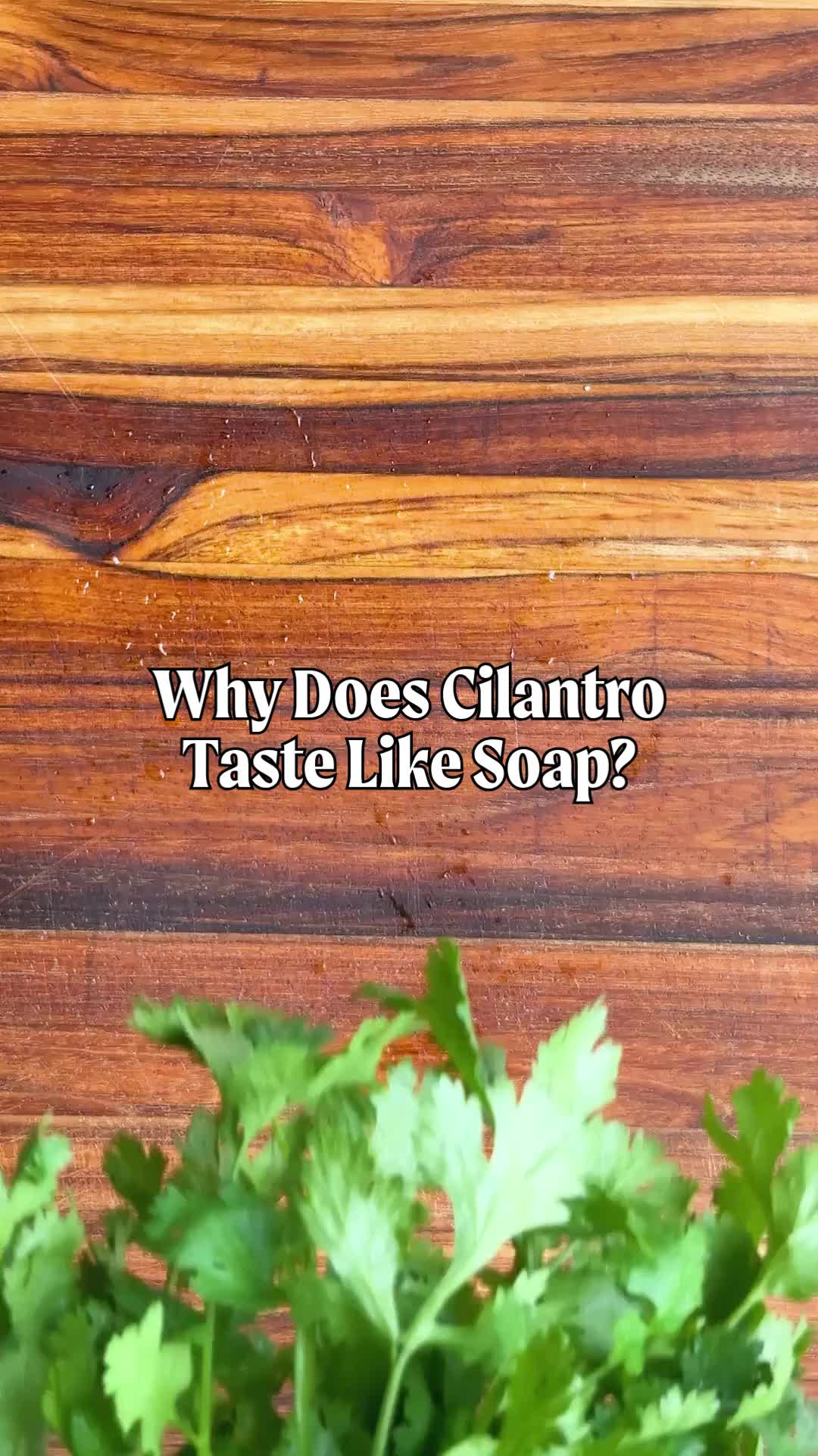 @America&rsquo;s Test Kitchen