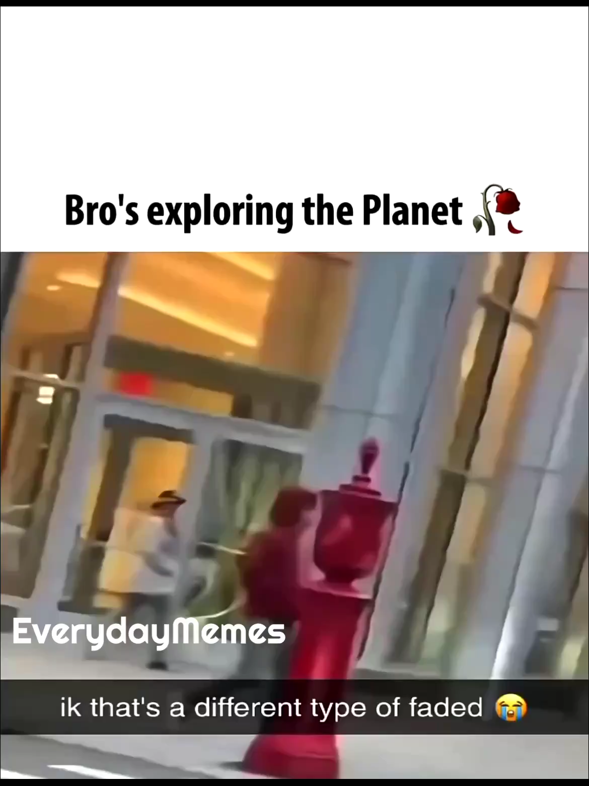 @EverydayMemes