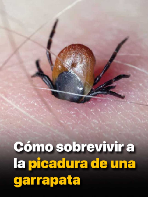 @Primeros Auxilios