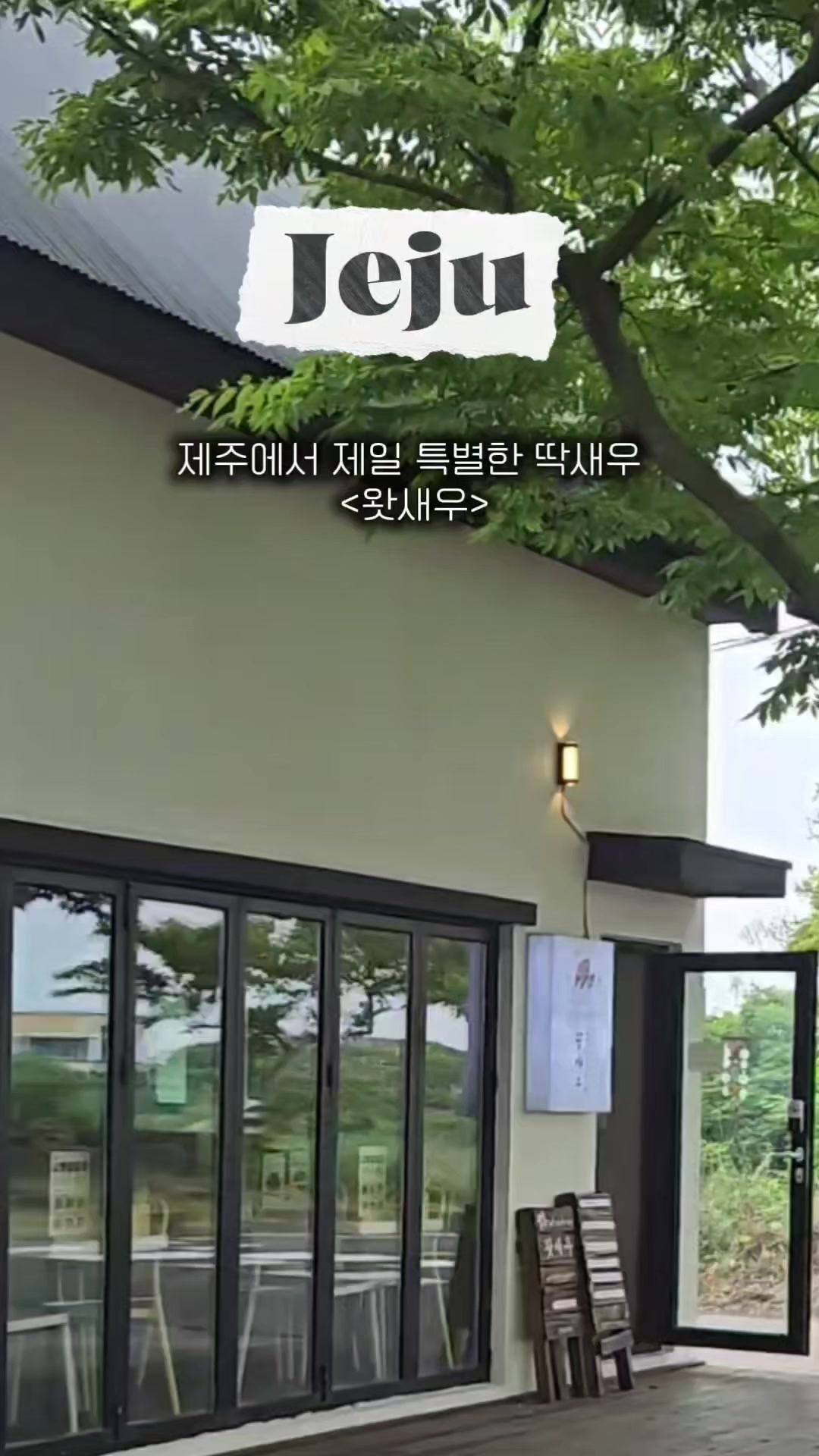 @제주홀릭