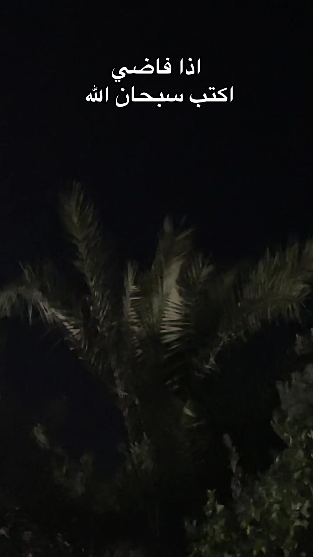 @هيـــّــآف 𓃚