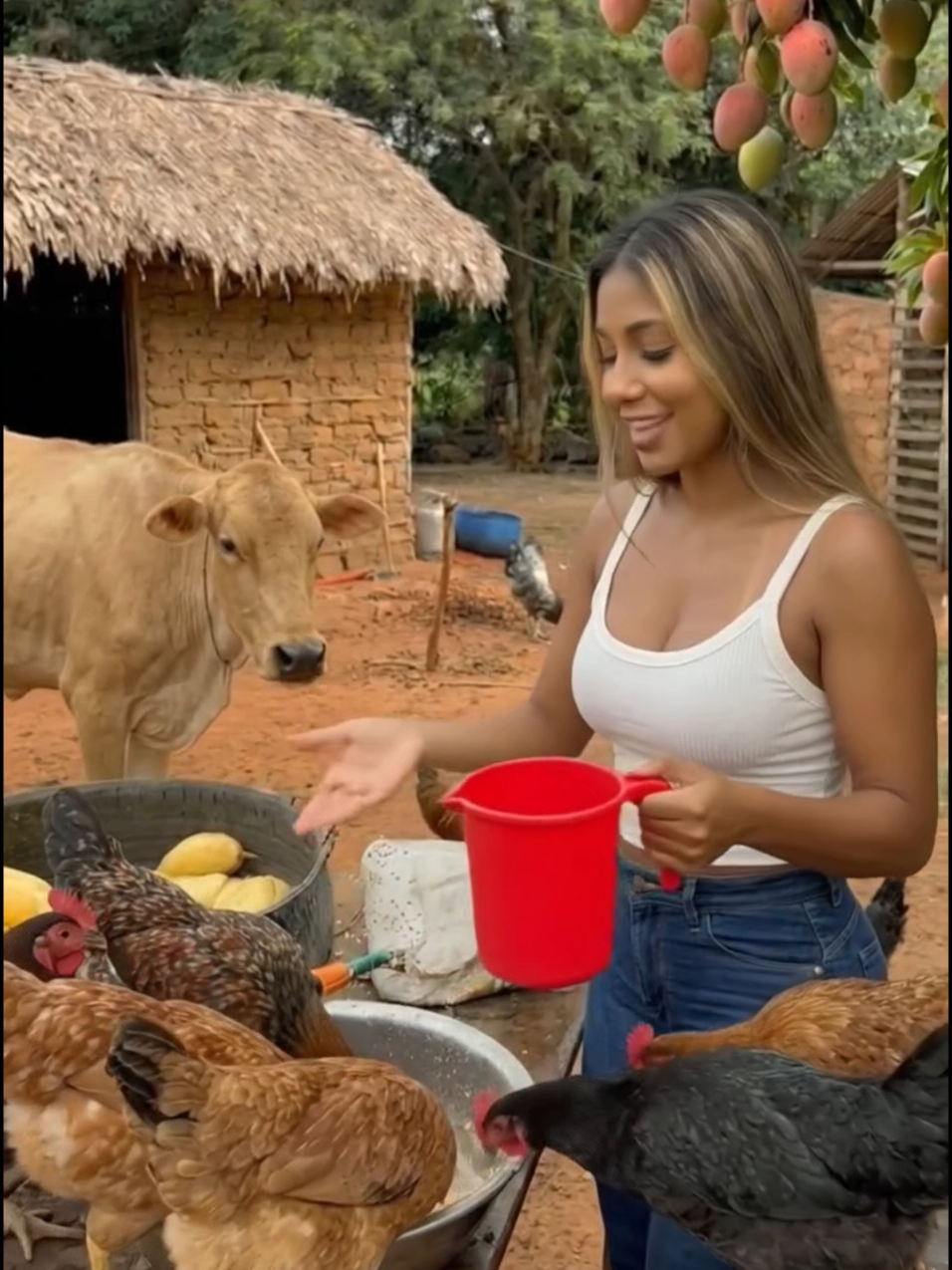 @Bruninha da Fazenda