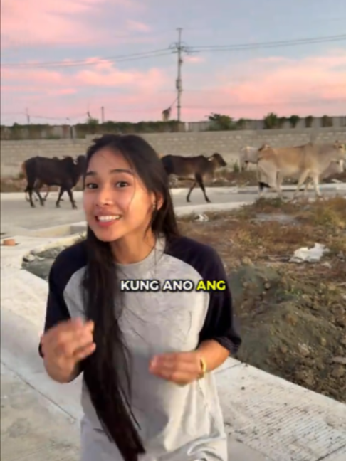 @LANS
