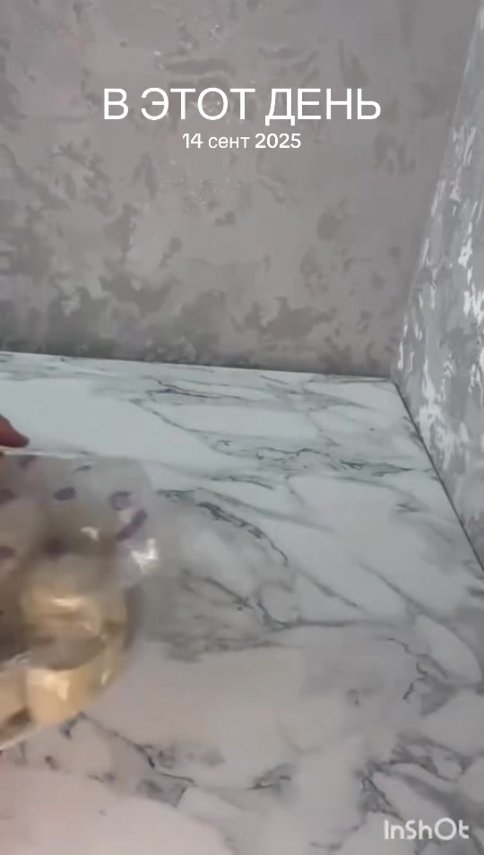 @torty_ot_jibeka