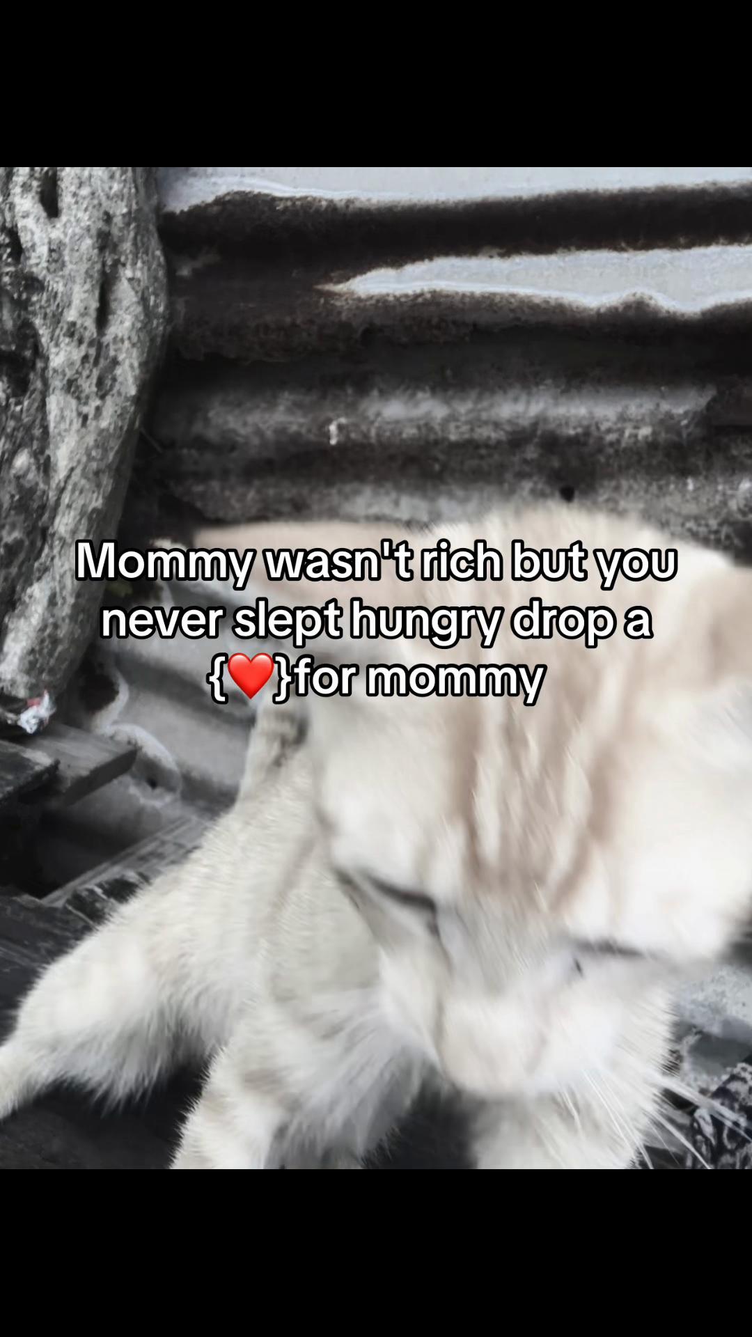 @𝕼𝖚𝖆𝖓 𝐐𝐔𝐎𝐓𝐄𝐒🧃