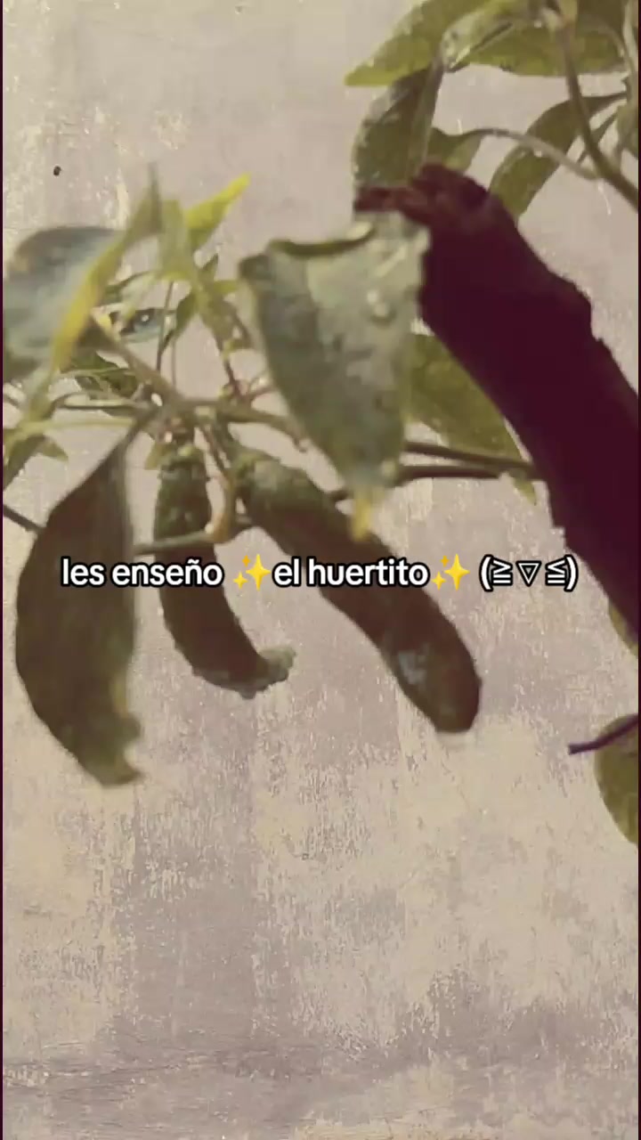 @eve