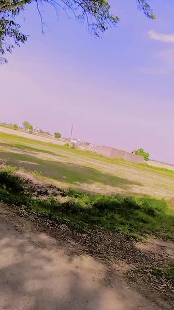 @falaknaz 51