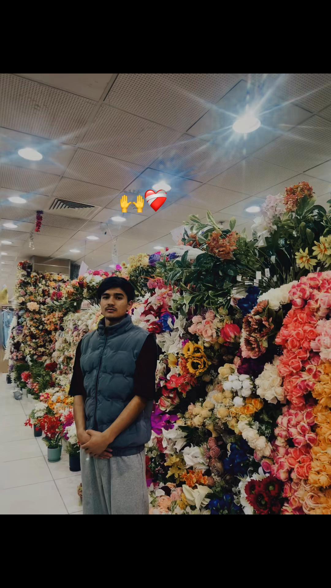 @ANEEL&deg;JII